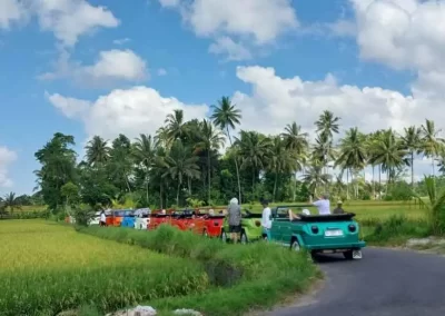 Bali Ubud VW (Volkswagen) Safari Tour Gallery 2