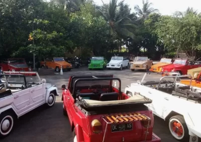 Bali Ubud VW (Volkswagen) Safari Tour Gallery 3