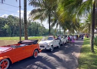 Bali Ubud VW (Volkswagen) Safari Tour Gallery 4